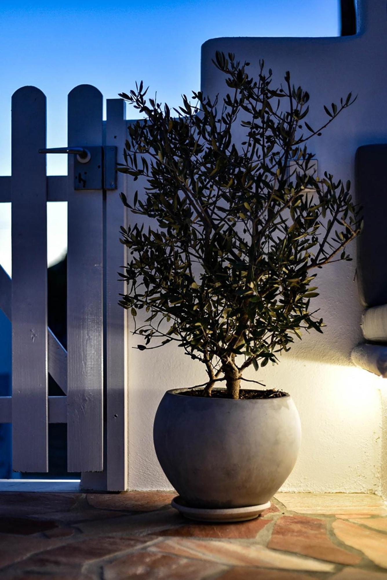 Dp Homes Santorini Períssa
